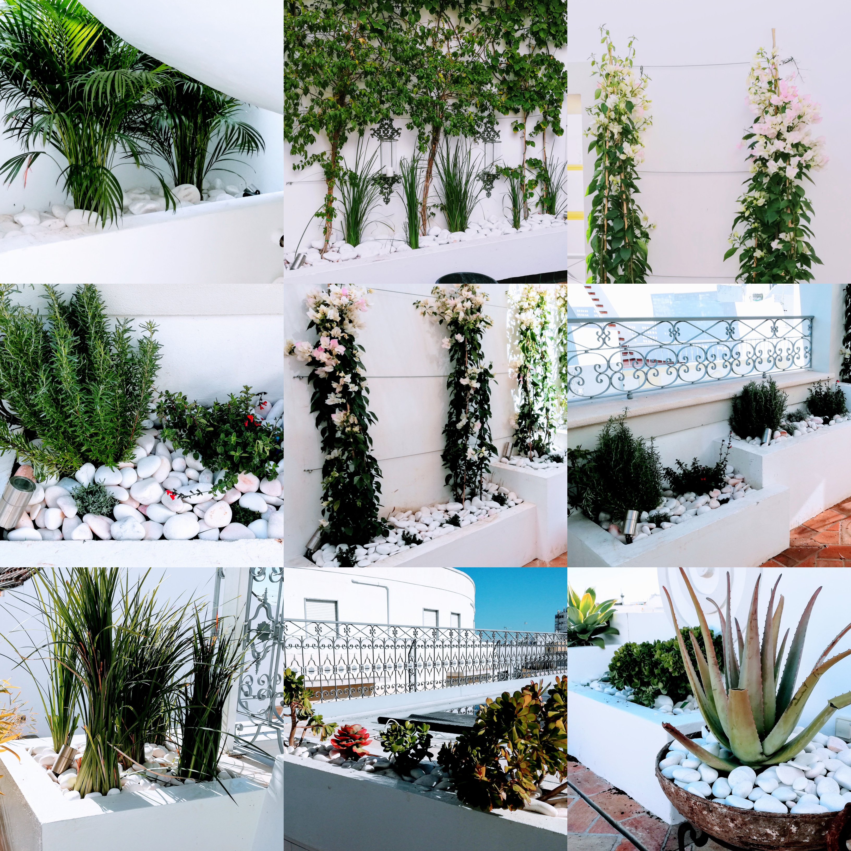 Casa Fuzetta - Image 4